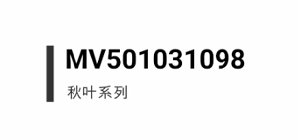 名門靜音門鎖 詮釋匠心與精致 名門靜音門鎖 詮釋匠心與精致