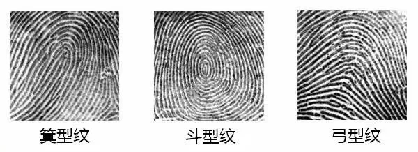 頂吉智能鎖為您解讀指紋解鎖原理