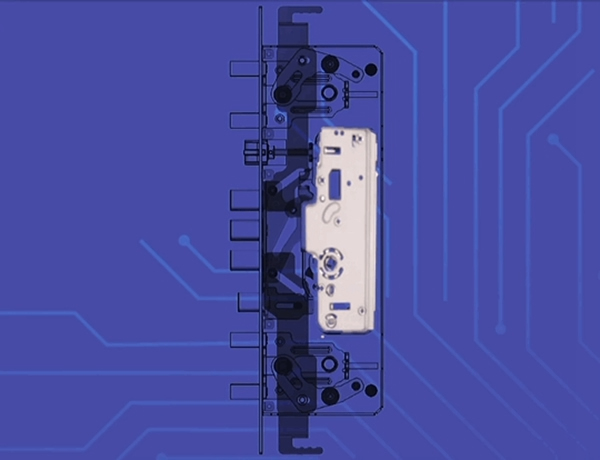多瑪凱拔增強“免疫力”，有TA更靠譜