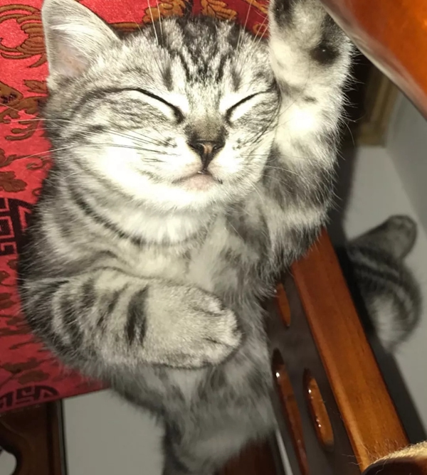 德施曼“疫”線故事——智能讓防疫生活更便捷！