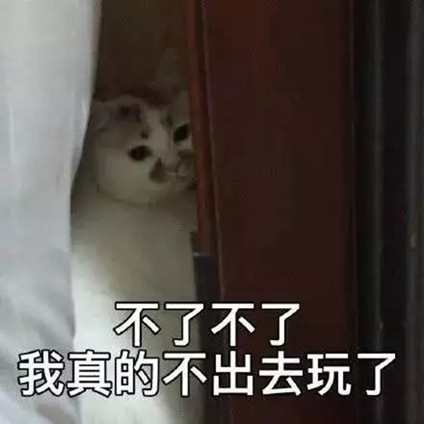 靈靈狗智能鎖:門把手發現病毒核酸 速看門鎖使用防護指南 靈靈狗智能鎖:門把手發現病毒核酸 速看門鎖使用防護指南