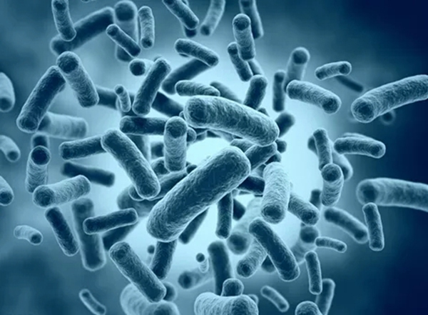 云米全屋互聯網家電:換一把抗菌門鎖 高效預防交叉感染 云米全屋互聯網家電:換一把抗菌門鎖 高效預防交叉感染