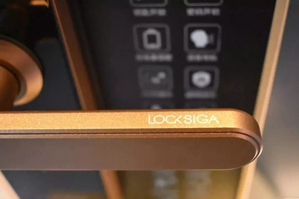 洛克思格S1Pro指靜脈智能鎖 懂你更懂生活 洛克思格S1Pro指靜脈智能鎖 懂你更懂生活