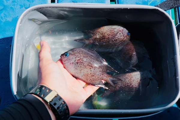 ThinkHome菲律賓長灘島特訓營活動圓滿結束 ThinkHome菲律賓長灘島特訓營活動圓滿結束