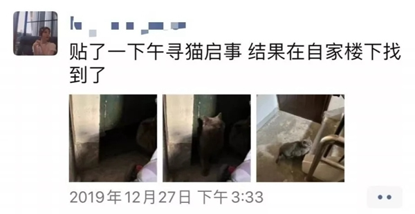 青松沃德:我們的2019年末崩潰情況報告 青松沃德:我們的2019年末崩潰情況報告