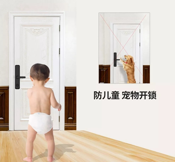 青松沃德:我們的2019年末崩潰情況報告 青松沃德:我們的2019年末崩潰情況報告