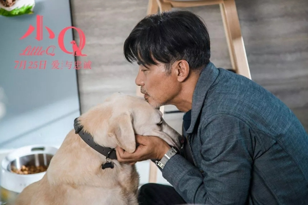 艾棲智能鎖或將與演員任達華再續6年代言合作