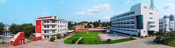 三環(huán)鎖業(yè)上榜全國(guó)制造業(yè)單項(xiàng)冠軍示范企業(yè)(第四批)名單 三環(huán)鎖業(yè)上榜全國(guó)制造業(yè)單項(xiàng)冠軍示范企業(yè)(第四批)名單