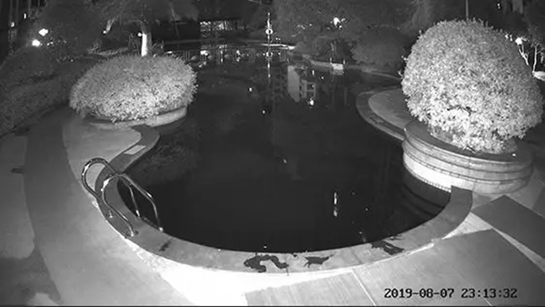 螢石智能鎖“全彩家族”攝像機就位:黑夜全彩時代來臨 螢石智能鎖“全彩家族”攝像機就位:黑夜全彩時代來臨