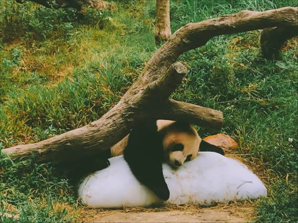 科裕集團年度旅游 快樂出游砥礪前行 科裕集團年度旅游 快樂出游砥礪前行