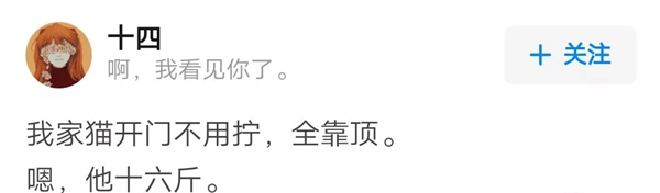 VOC智能鎖告訴你 家里寵物偷偷開門要怎么辦 VOC智能鎖告訴你 家里寵物偷偷開門要怎么辦