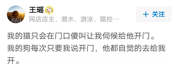 VOC智能鎖告訴你 家里寵物偷偷開門要怎么辦 VOC智能鎖告訴你 家里寵物偷偷開門要怎么辦