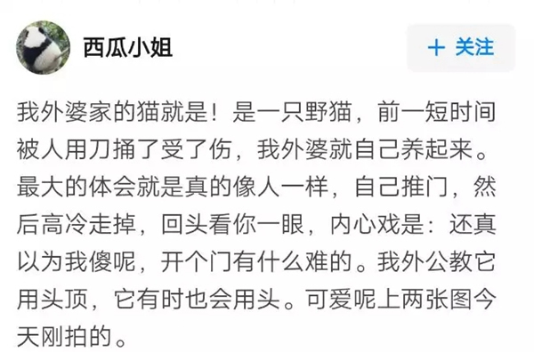 VOC智能鎖告訴你 家里寵物偷偷開門要怎么辦 VOC智能鎖告訴你 家里寵物偷偷開門要怎么辦