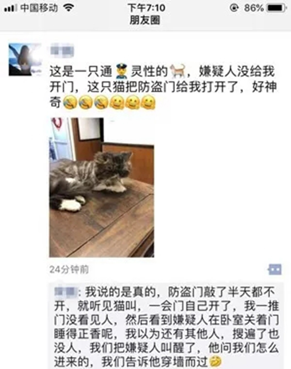 VOC智能鎖告訴你 家里寵物偷偷開門要怎么辦 VOC智能鎖告訴你 家里寵物偷偷開門要怎么辦