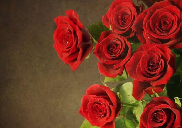 浪漫七夕,送花有些俗了,咱們不如送個指紋鎖 浪漫七夕,送花有些俗了,咱們不如送個指紋鎖