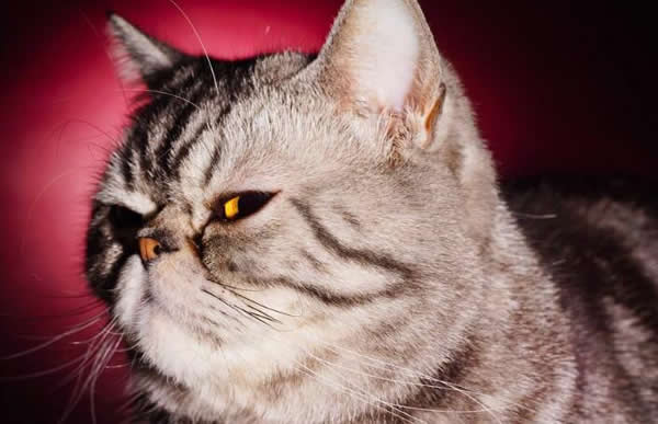 人家已經(jīng)用了一年多的指紋鎖了,而你還在質(zhì)疑它? 人家已經(jīng)用了一年多的指紋鎖了,而你還在質(zhì)疑它?