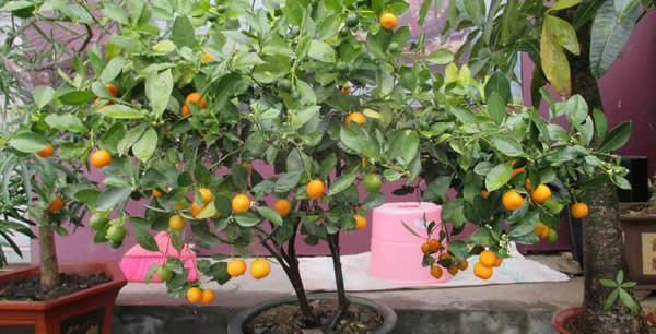 有了指紋鎖,終于不用藏鑰匙了 有了指紋鎖,終于不用藏鑰匙了