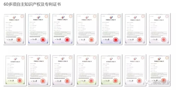 楊格鎖業(yè)憑什么在中國智能門鎖中脫穎而出,征服歐洲? 楊格鎖業(yè)憑什么在中國智能門鎖中脫穎而出,征服歐洲?