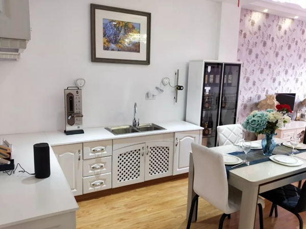 揚子智能家居六安地區代理店舉行開業儀式 揚子智能家居六安地區代理店舉行開業儀式