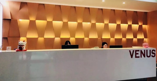 愛·家 維納斯智能家居，專注智能家居「智」造