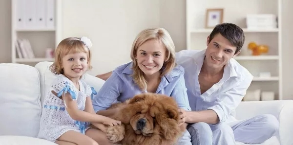 耶魯智能鎖讓更多家庭領略安全、便利、時尚的門鎖解決方案