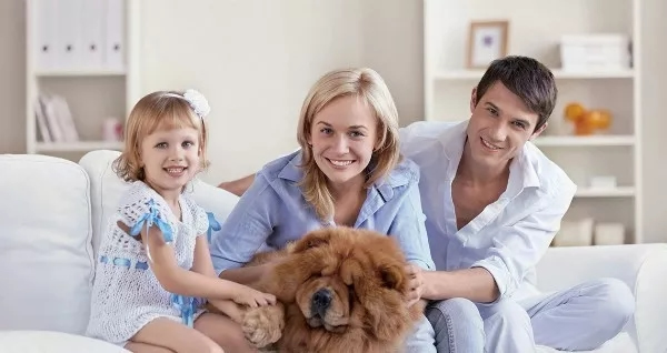 耶魯智能鎖,您的家庭安全小管家 耶魯智能鎖,您的家庭安全小管家