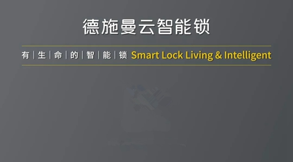 德施曼小嘀云智能鎖與權威專家一起規范門鎖行業安全標準 德施曼小嘀云智能鎖與權威專家一起規范門鎖行業安全標準
