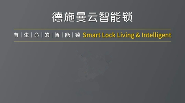 智能鎖經銷商大調查|德施曼小嘀云智能鎖鉅惠雙十一,狂歡享豪禮 智能鎖經銷商大調查|德施曼小嘀云智能鎖鉅惠雙十一,狂歡享豪禮