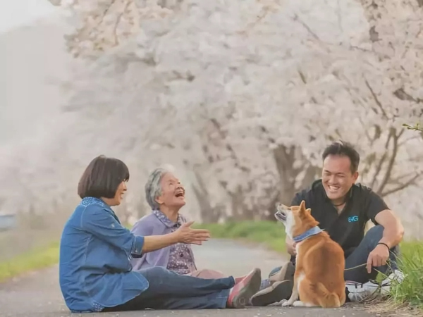 凱迪仕智能鎖為你守護家的溫馨 凱迪仕智能鎖為你守護家的溫馨