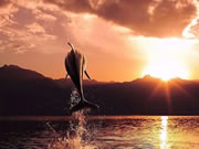 凱迪仕聯合途牛,推出“丟掉鑰匙,暢快旅行”活動,給出發一個理由