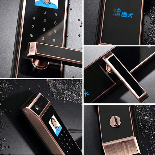 F1人臉掌紋智能鎖 德犬智能鎖 人臉識別掌紋識別密碼鎖 F1人臉掌紋智能鎖 德犬智能鎖 人臉識別掌紋識別密碼鎖
