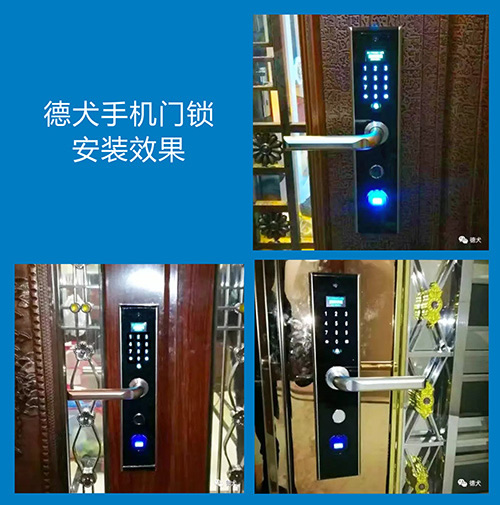 2017市場智能門鎖十大品牌之德犬手機門鎖 2017市場智能門鎖十大品牌之德犬手機門鎖