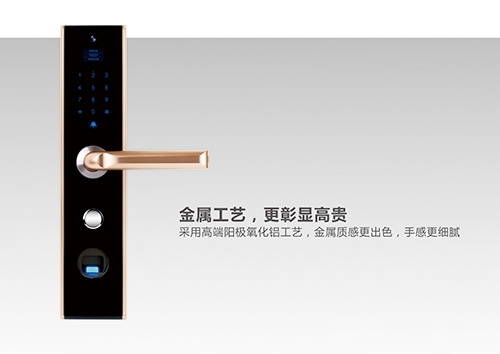 【手機門鎖】古人防盜靠狗，現在靠“德犬”