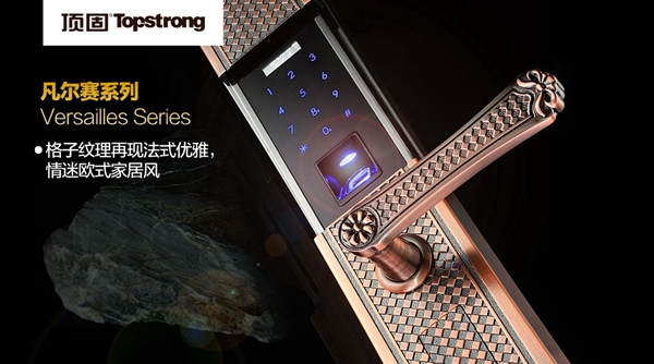 智定江山，勇奪黃金席位——2015年頂固智能五金招商峰會