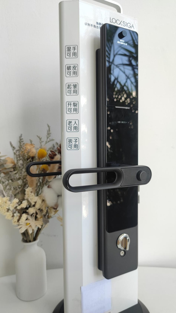 拔草|老人小孩都好用的智能鎖:LOCKSIGA洛克思格A1測評