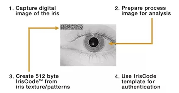 智能鎖常見的六種生物識(shí)別技術(shù)原理解析