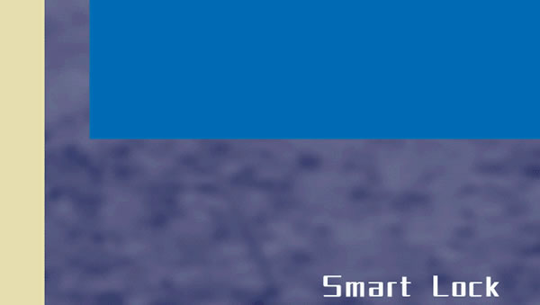 2021牛轉乾坤,從一把西勒奇智能鎖開始