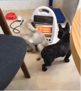 飛利浦智能鎖丨冬季使用“取暖神器”該注意這些問題 飛利浦智能鎖丨冬季使用“取暖神器”該注意這些問題