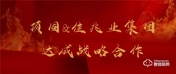 頂固8月精彩薈萃 | 行穩致遠,聚勢共贏! 頂固8月精彩薈萃 | 行穩致遠,聚勢共贏!