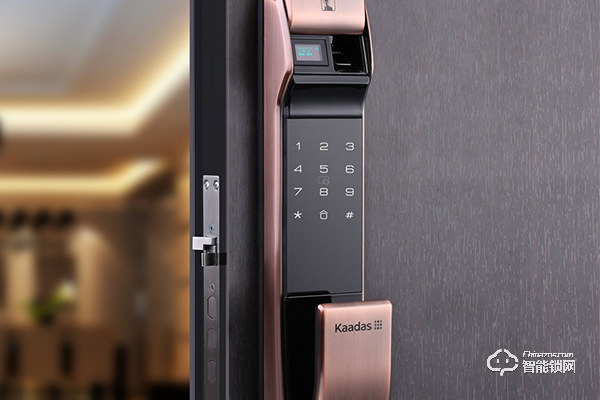 凱迪仕和德施曼哪個好