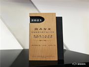 德施曼智能鎖再次展示了其引領智能人居生活的創新實力