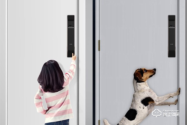 天能智能鎖怎么樣 天能智能鎖怎么樣