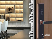 德施曼云智能鎖:引領(lǐng)行業(yè)未來發(fā)展新態(tài)勢