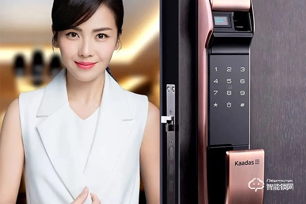 凱迪仕指紋鎖怎么代理 凱迪仕指紋鎖怎么代理