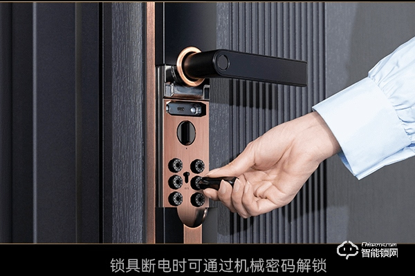 德施曼智能鎖河南加盟 德施曼智能鎖河南加盟