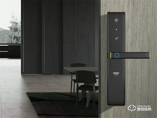 王力智能門鎖丨買智能鎖不做選擇題,安全、便捷全都要 王力智能門鎖丨買智能鎖不做選擇題,安全、便捷全都要