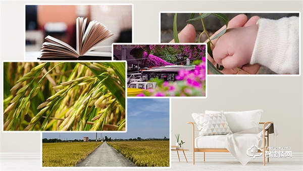 Gleewell格里維爾｜你發現了嗎？所有治愈的美好，都藏在生活的細節里