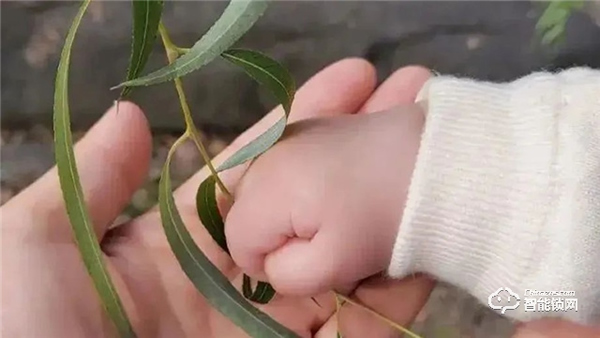 Gleewell格里維爾｜你發現了嗎？所有治愈的美好，都藏在生活的細節里