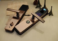 小門鎖、大不同,拒絕同質(zhì)化,楊格有“鎖”不同