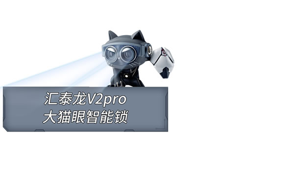 結(jié)婚領(lǐng)智能鎖丨2024年第三屆“鎖定終身，緣于1996”